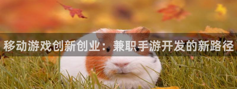 大神吧28怎么登陆：移动游戏创新创业：兼职手游开发的新路径