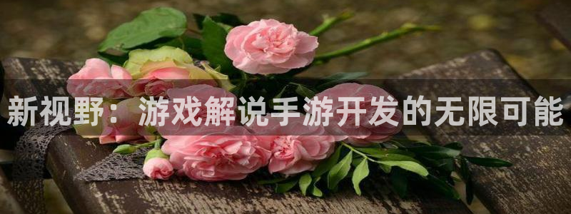 28大神专业版下载地址：新视野：游戏解说手游开发的无限可能