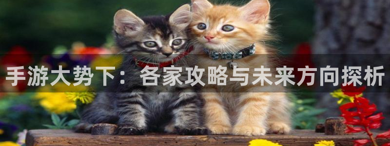 28大神苹果版下载：手游大势下：各家攻略与未来方向探析