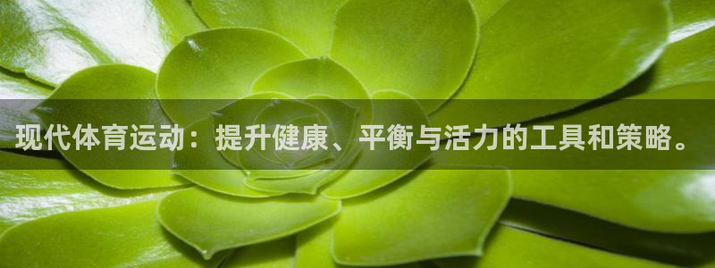 xc体育
