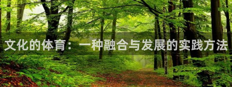 xc体育app官方网站