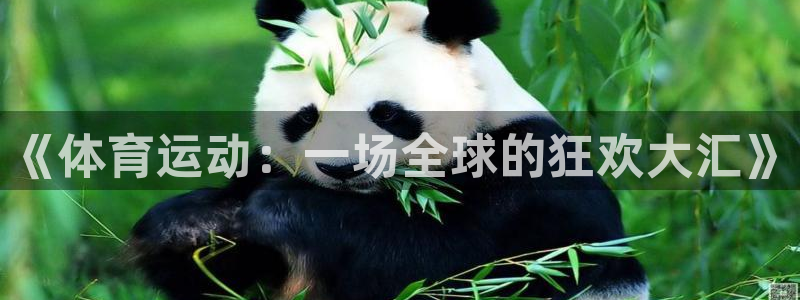 xc体育app官方网站