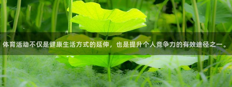 xc体育app官方网站