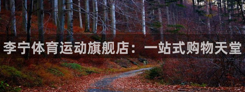 xc体育