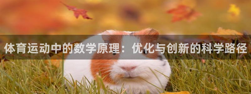 xc体育