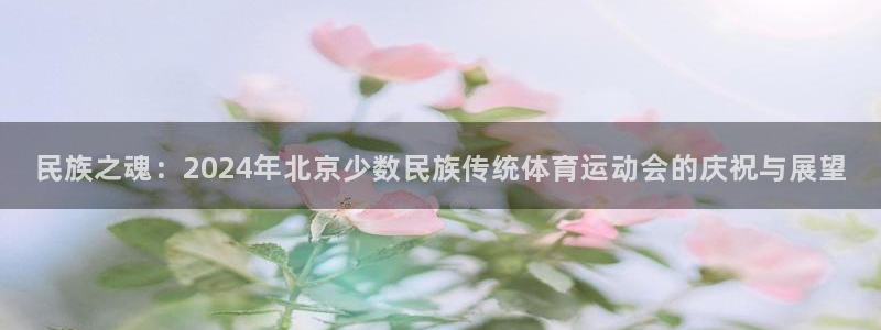 xc体育