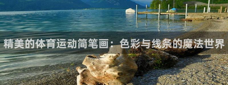 xc体育：精美的体育运动简笔画：色彩与线条的魔法世界