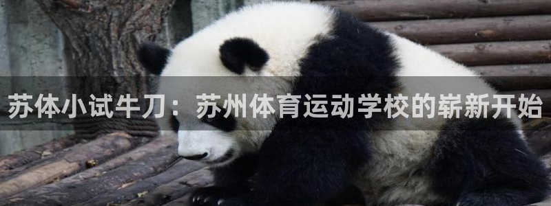 xc体育：苏体小试牛刀：苏州体育运动学校的崭新开始