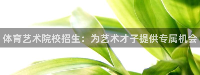xc体育：体育艺术院校招生：为艺术才子提供专属机会